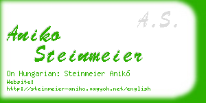 aniko steinmeier business card